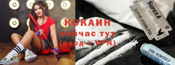 шишки Ветлуга