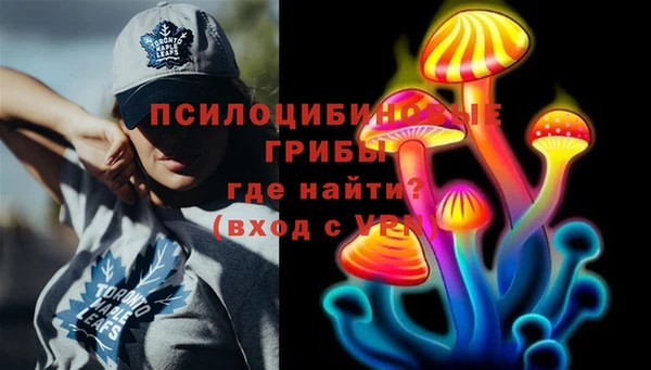 ешки Алзамай