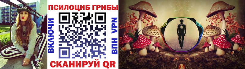 Псилоцибиновые грибы мицелий Заполярный